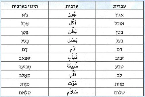 (בספר תמונה):